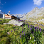 Adventure, Europe, France, Haute Route, Hiking, Sports, Switzerland, event