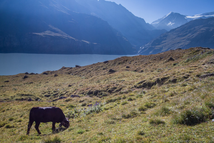 Adventure, Europe, France, Haute Route, Hiking, Sports, Switzerland, event