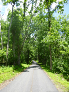 Places, Rail, Run, Training, trail