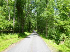 Places, Rail, Run, Training, trail