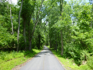 Places, Rail, Run, Training, trail