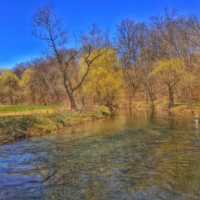 Lehigh Parkway Run April 12 2015