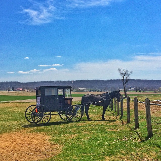 Amish Horse-and-buggy hitched up near Fleetwood/Kutztown.