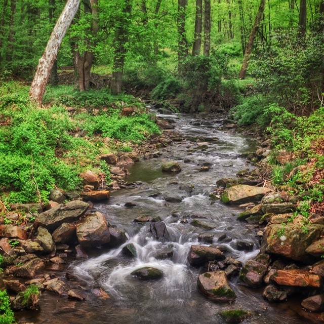 West Branch of the Perkiomen Creek