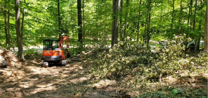 Excavator clearing trees on our property.