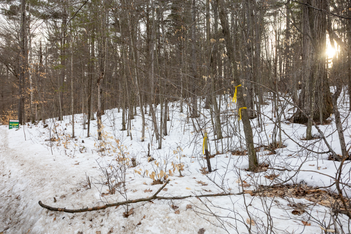 Adirondacks, America, AusableAcres, Dax, Jay, New York, North America, USA, United States, land