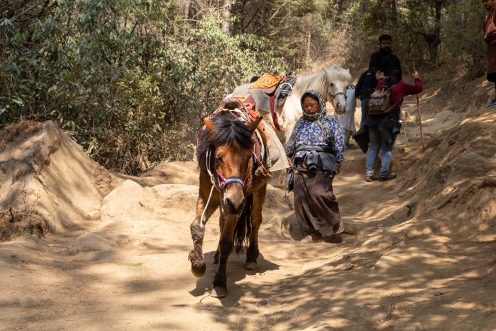 Adventure, Asia, Bhutan, Chomolhari, Jigme Dorji National Park, Jomolhari, Places, Sports, Travel, Trekking, city