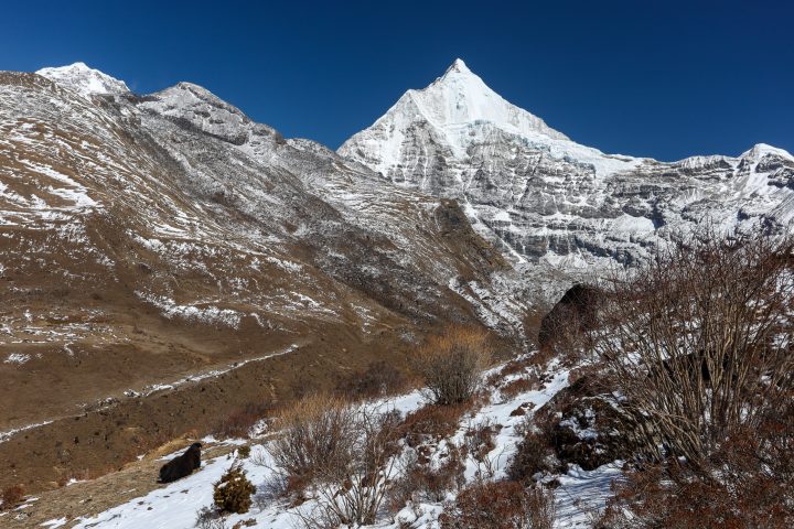 Bhutan201903-11342.jpg