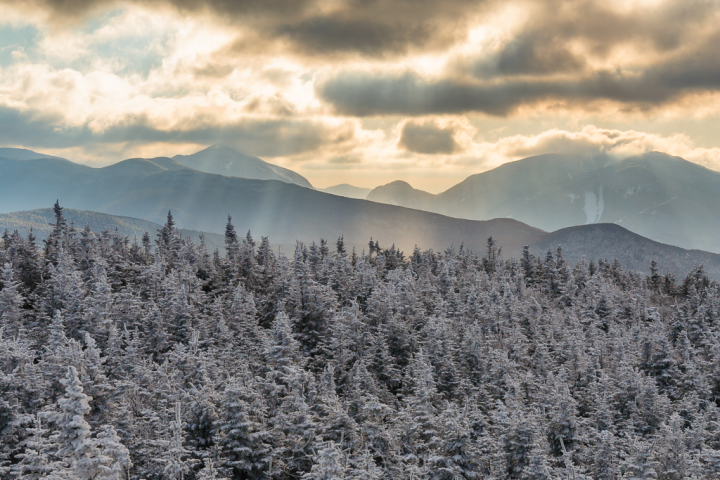 @Places, Adirondacks, Lake Placid, Mountains, New York, Snow, Snowshoeing, Tree, United States, Winter